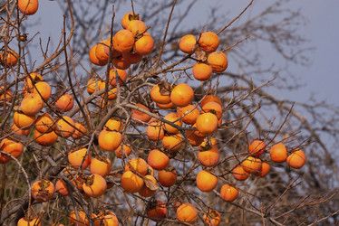 Similar image 2344650