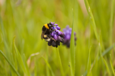 Similar image 2344803