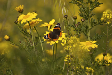 Similar image 2344804