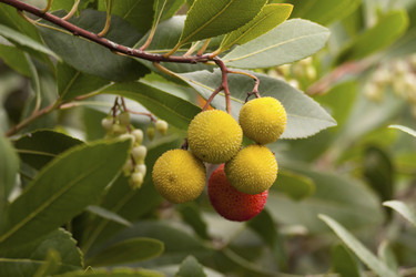 Similar image 2345025