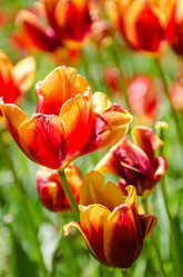 Similar image 2345163