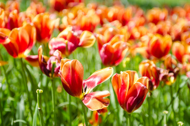 Similar image 2345165