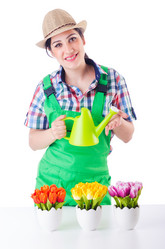 Similar image 2345211