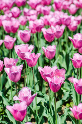 Similar image 2345304