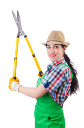 Similar image 2345306