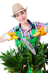 Similar image 2345309