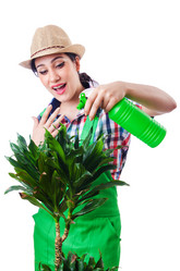 Similar image 2345312