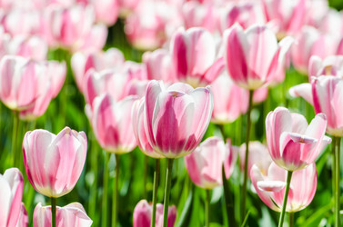 Similar image 2345421