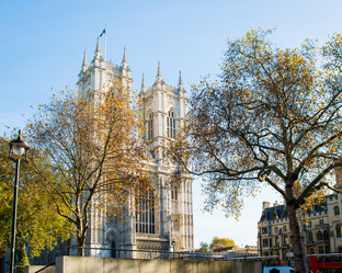 Similar image 2345547