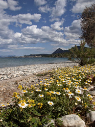 Similar image 2345600