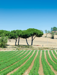 Similar image 2345672