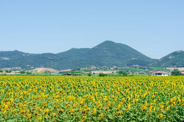 Similar image 2345706