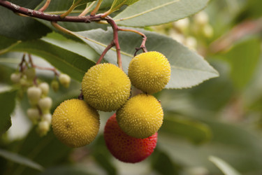 Similar image 2345826