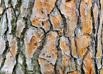 Similar image 2346062