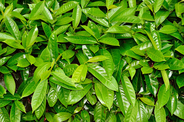 Similar image 2346066