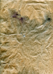 Similar image 2346141