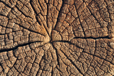 Similar image 2346167