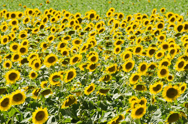 Similar image 2346327