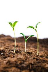 Similar image 2346430