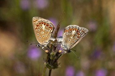 Similar image 2346464