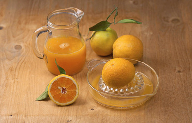 Similar image 2346502