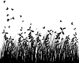 Similar image 2346731