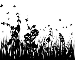 Similar image 2346746