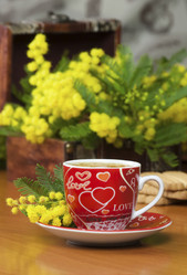 Similar image 2347251