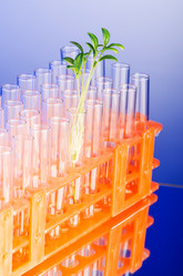 Similar image 2347393