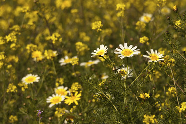 Similar image 2347464