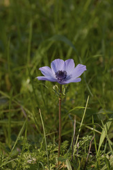 Similar image 2347465