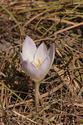 Similar image 2347533