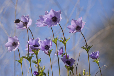 Similar image 2347535