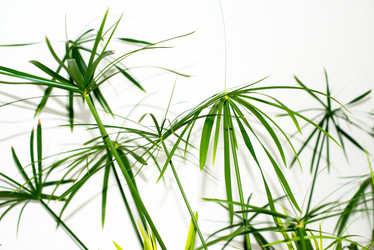 Similar image 2347602