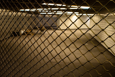 Similar image 2347613