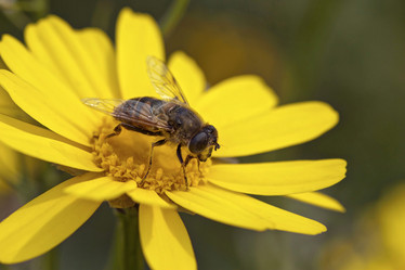 Similar image 2347627