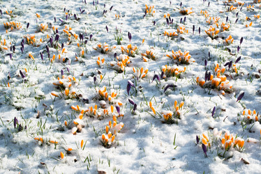 Similar image 2347675