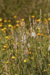 Similar image 2347677