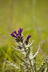 Similar image 2347701