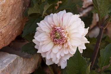 Similar image 2347711