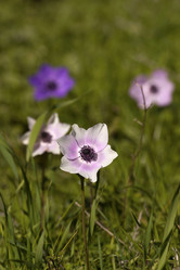 Similar image 2347712