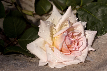 Similar image 2347749