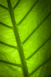 Similar image 2347806