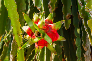 Similar image 2347807