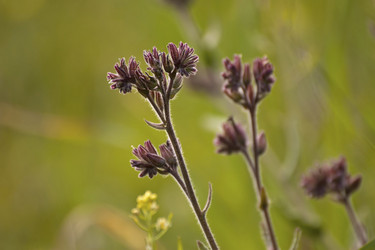 Similar image 2347805