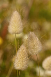 Similar image 2347808