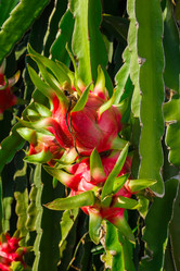 Similar image 2347812