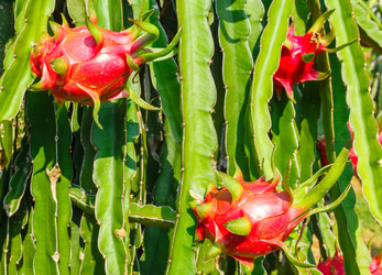 Similar image 2347816