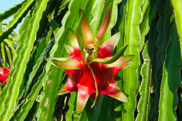 Similar image 2347823