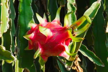 Similar image 2347825